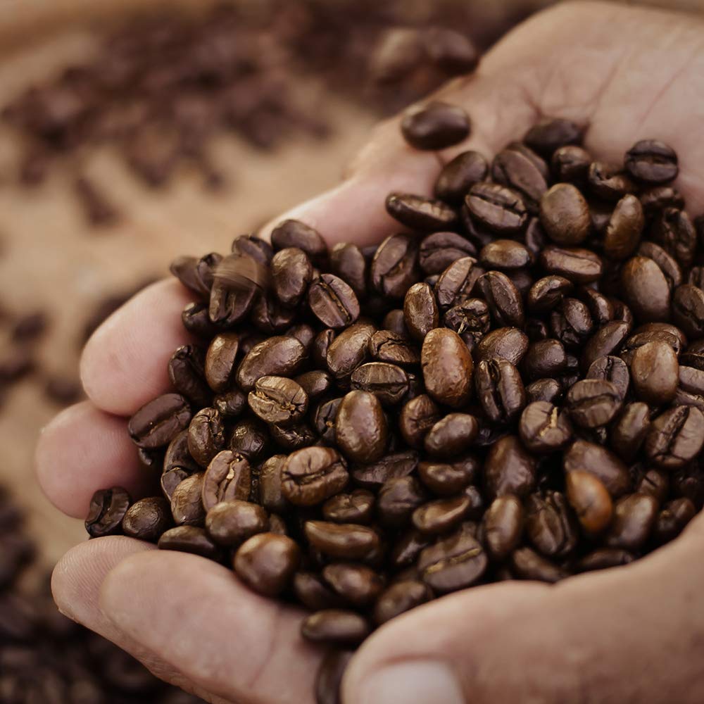 Filicori Zecchini Delicato Espresso Whole Beans