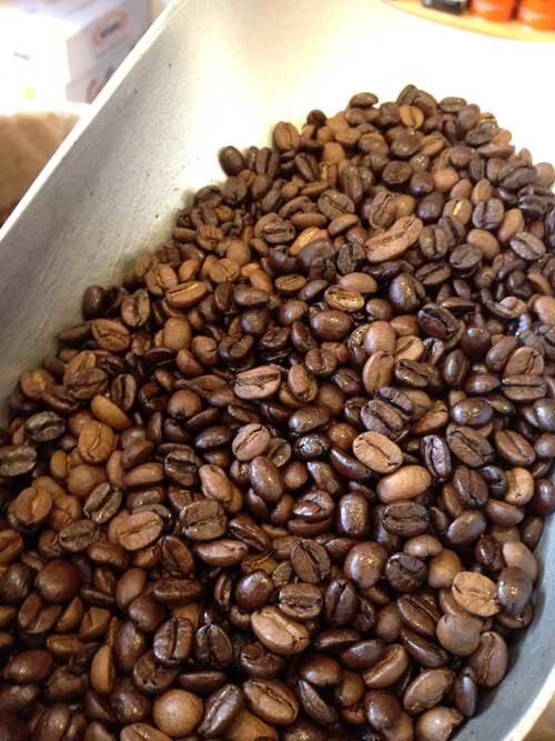 Bronx Zoo Blend Cerini Original Blend 1 lb Bags