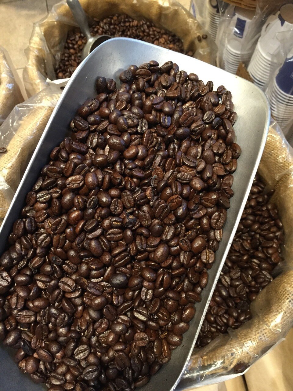 Kenyan AA French Roast Coffee Beans