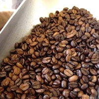 Medium Roast