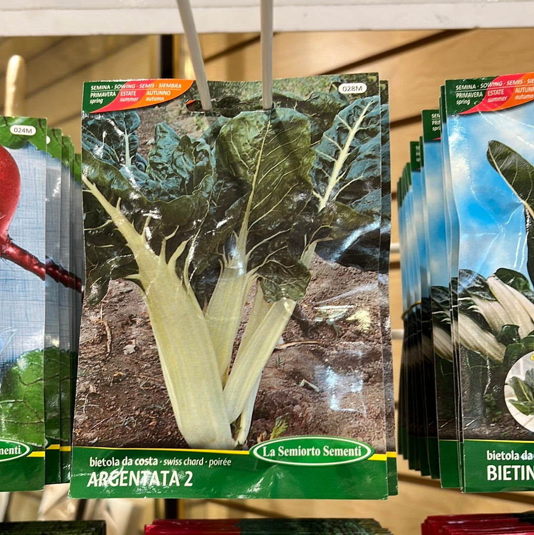 028M Swiss Chard Crinkly Bietola A Costa
