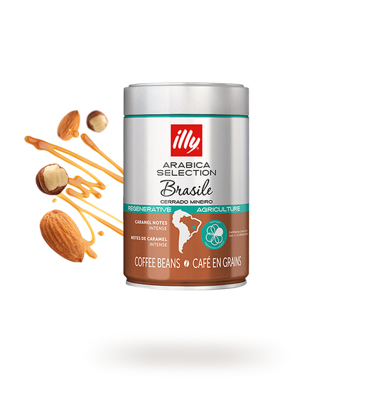 illy - Arabica Selection - Brasile Cerrado Mineiro - 8.8oz Can