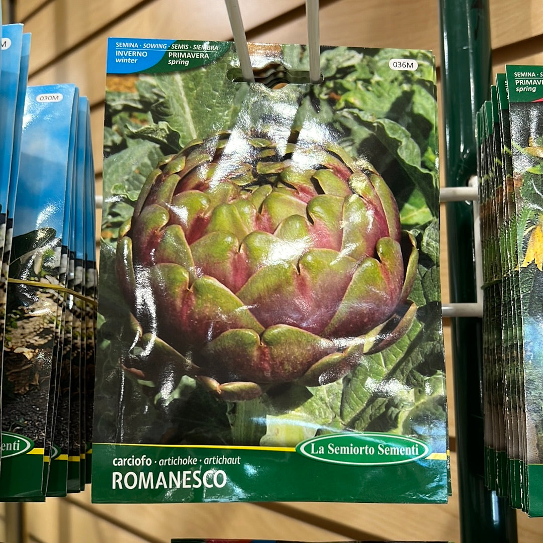 036M Artichoke Carciofo Romanesco