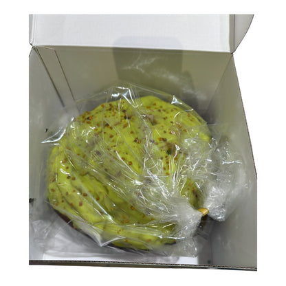 Primo Amore - Panettone Siciliano - Pistacchio - 1000g (2.2lb)
