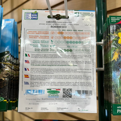 036M Artichoke Carciofo Romanesco