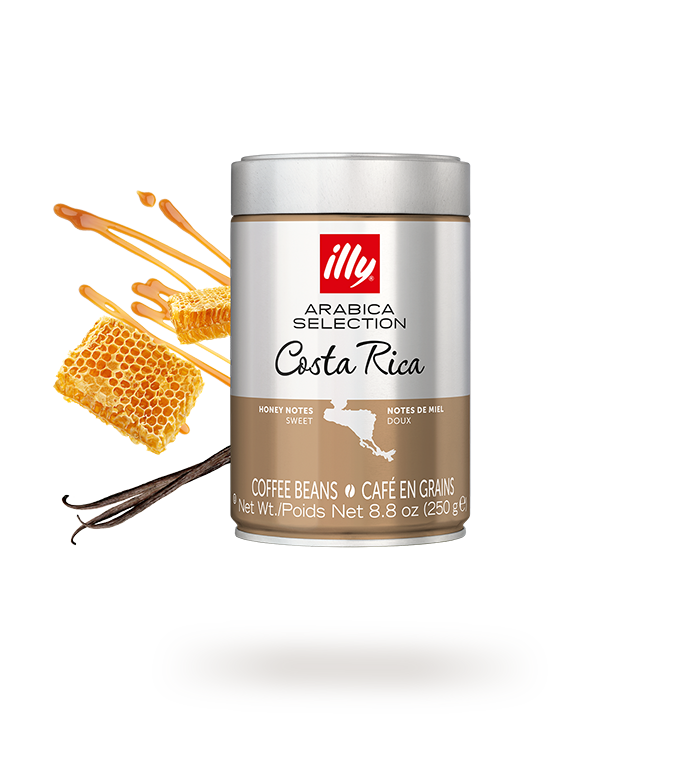 illy - Arabica Selection - Costa Rica - 8.8oz Can