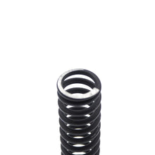 Olympia Cremina Spring for Group Head - Fits in Cremina SL - 230263