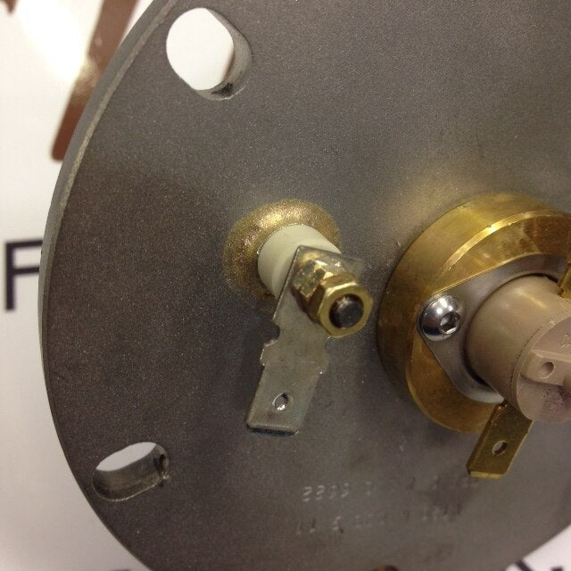 220v Olympia Heating Element & Gasket - 100451