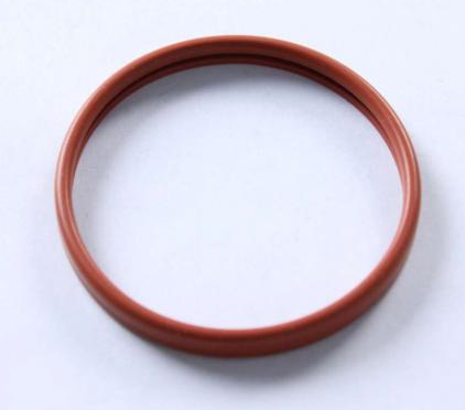 Filter Holder Gasket for Saeco - 996530015878