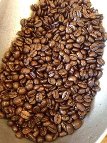 illy illy - Medium Roast Beans – Cerini Coffee & Gifts