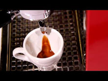 Moca Espresso Grinder by Olympia Express - 120 Volt