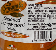 La Cerignola - Seasoned Lampascioni - 19.40 oz