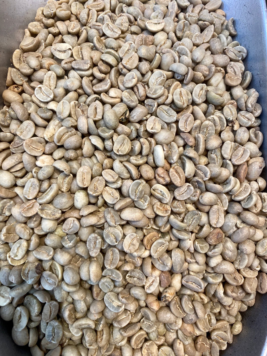 Green Coffee - Colombian Origin (Not Roasted) - 453g (1 LB)
