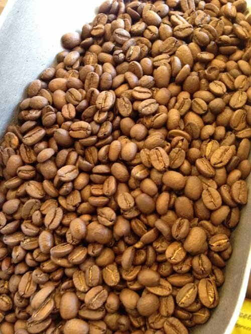 Peruvian Organic -  Fresh Roasted Coffee Beans - 1 lb Bags